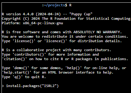Installing packages in the R terminal